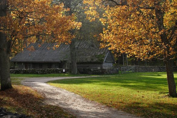Eesti Vabaõhumuuseum