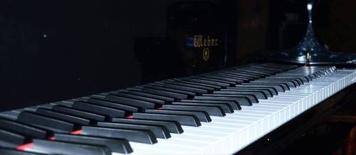 TOGO pianoclub