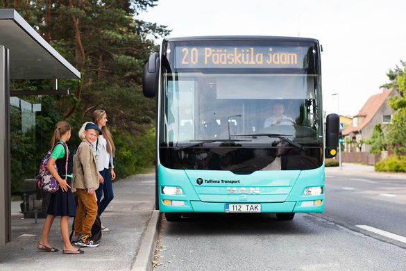 Pucliv transport