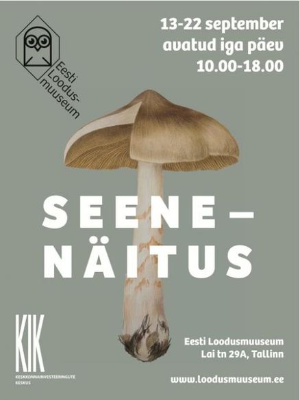 seenenäitus