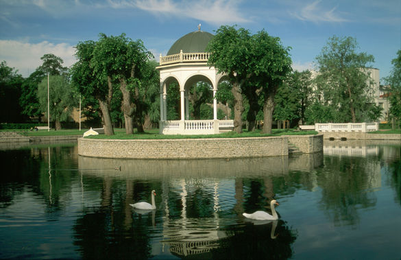043 Swannery in Kadriorg