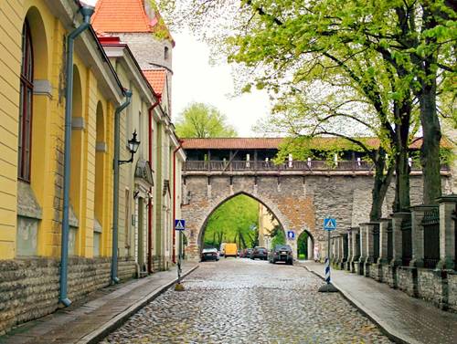 Free Tallinn Old Town Tour
