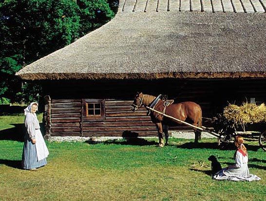 Eesti Vabaõhumuuseum
